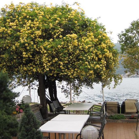 Piccolo Hotel Direkt Am See Бренцоне сул Гарда Екстериор снимка