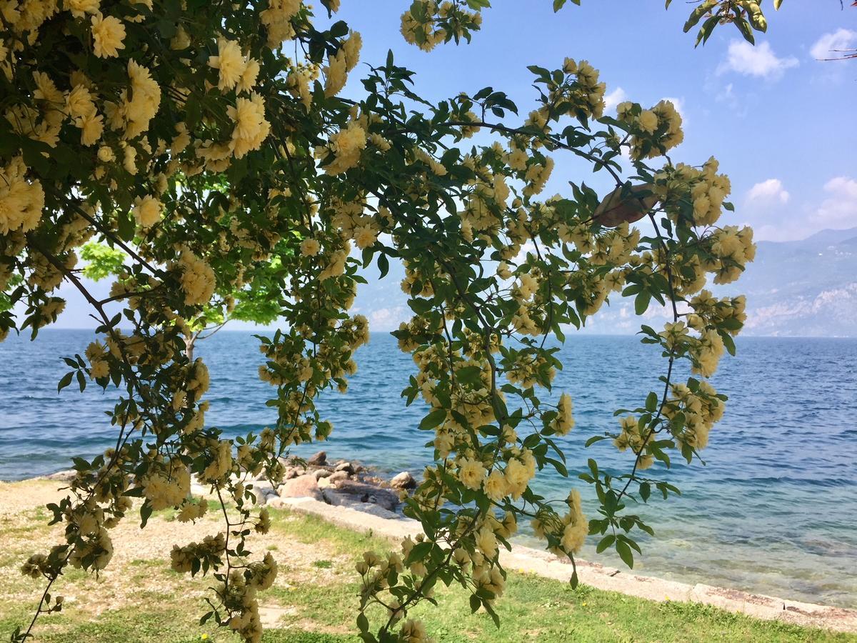Piccolo Hotel Direkt Am See Бренцоне сул Гарда Екстериор снимка